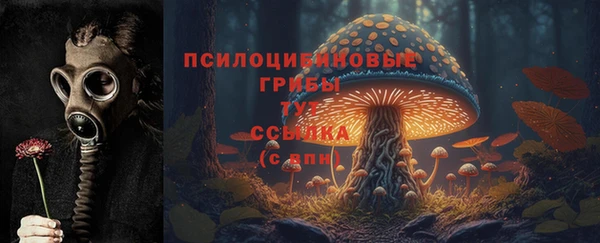 молекула духа Валдай