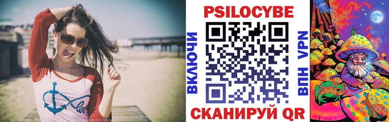 Псилоцибиновые грибы Psilocybe  Купить где  Кинешма 